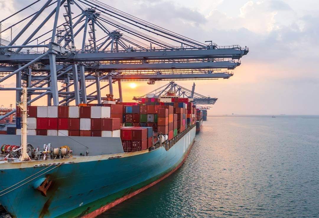 China to New Zealand Sea Freight Service